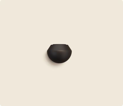 Standard Ball